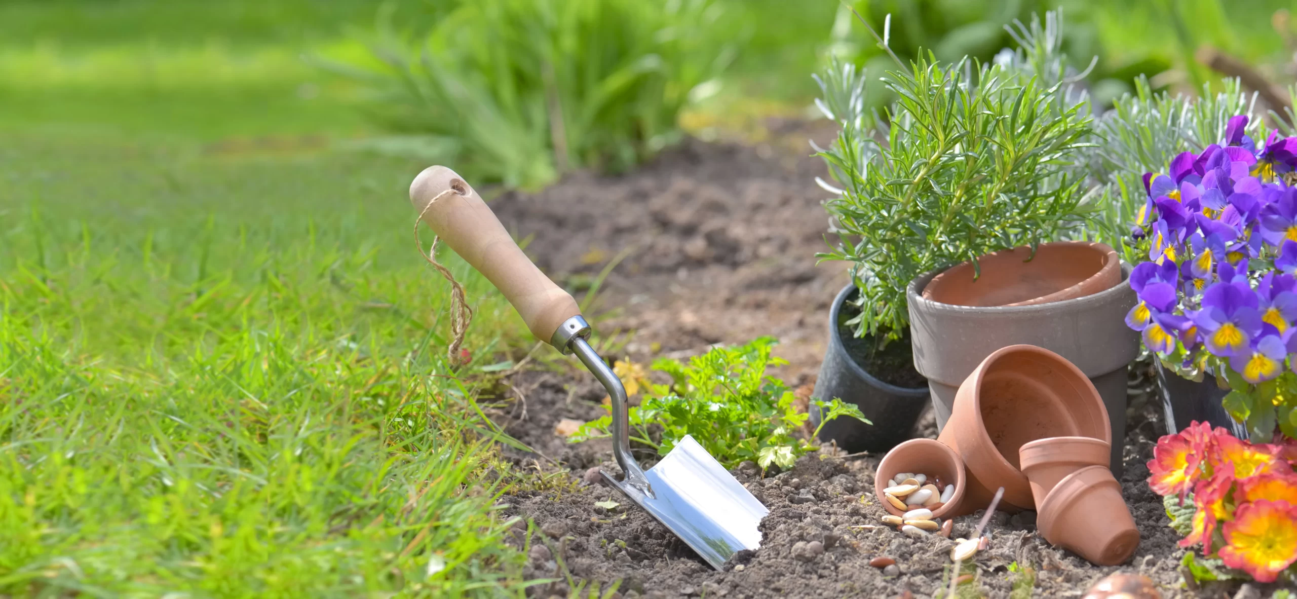 Lee más sobre el artículo Todo lo que necesitas saber sobre el ramo de la jardinería